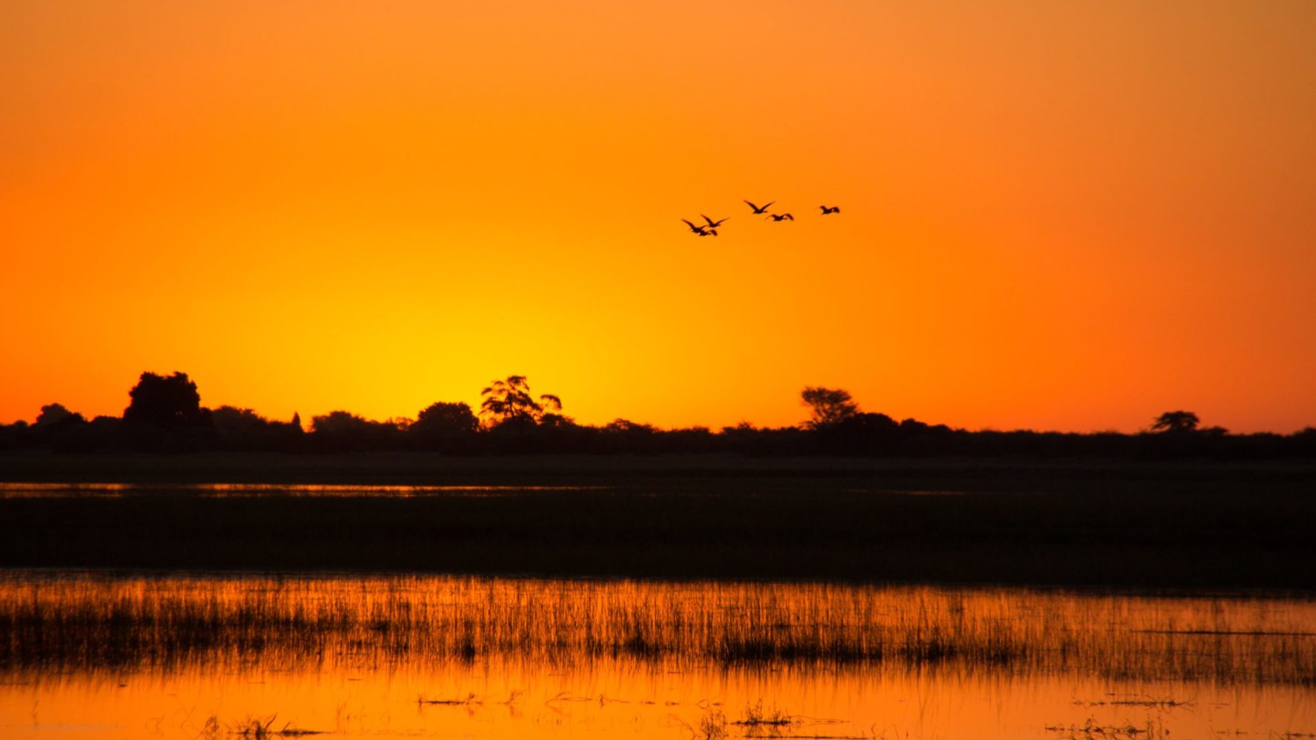 Northern Botswana Chobe Sunset