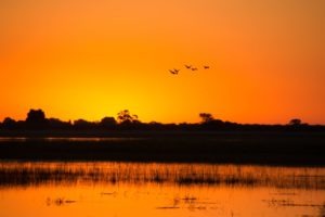 Northern Botswana Chobe Sunset
