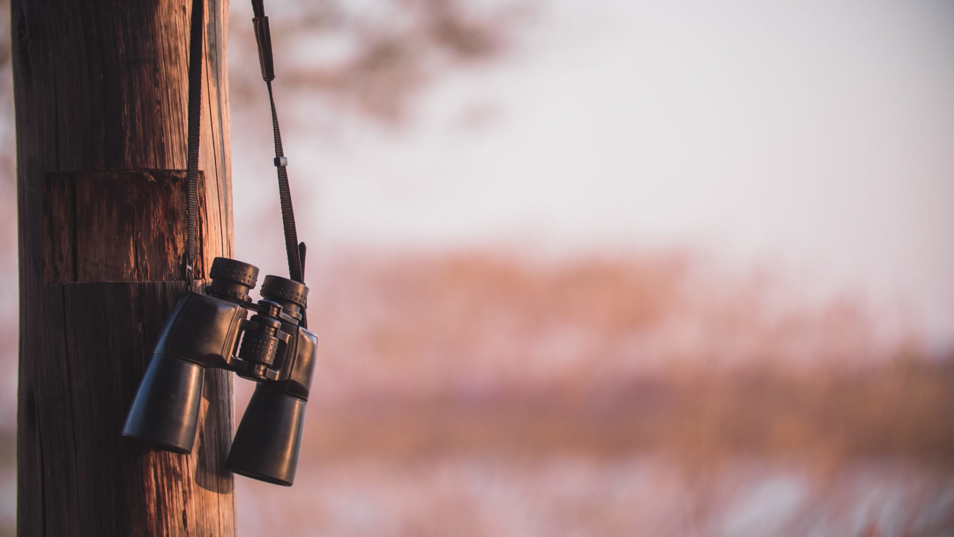 Binoculars-Botswana