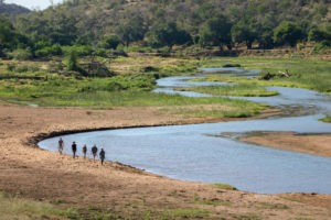 Pafuri Makuleke Kruger National Park Walking Safari