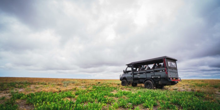 The beast iveco landscape game viewer