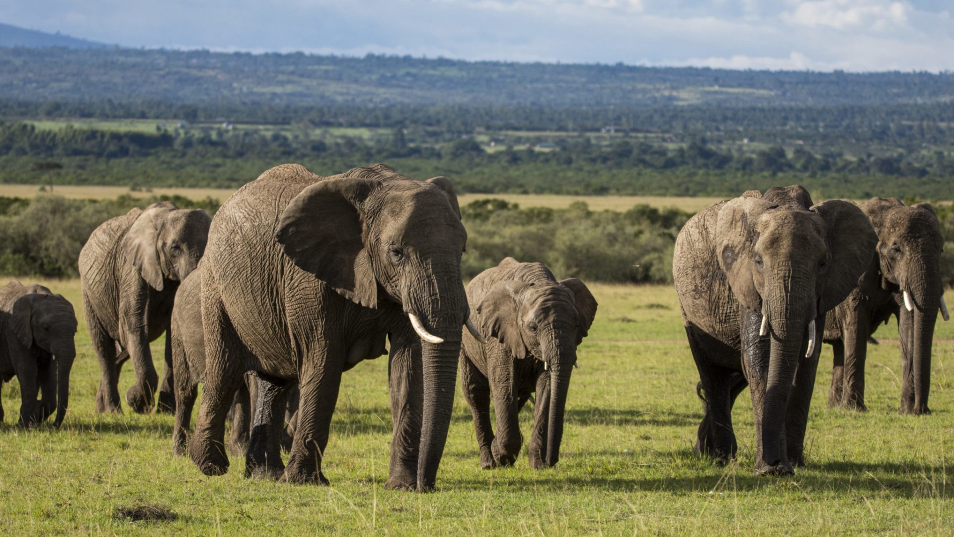 kenya ecotraining mara training camp guide training 35