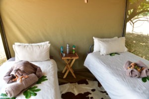lower zambezi tusk and mane tent interior