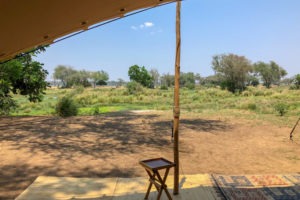 lower zambezi tusk and mane tent view