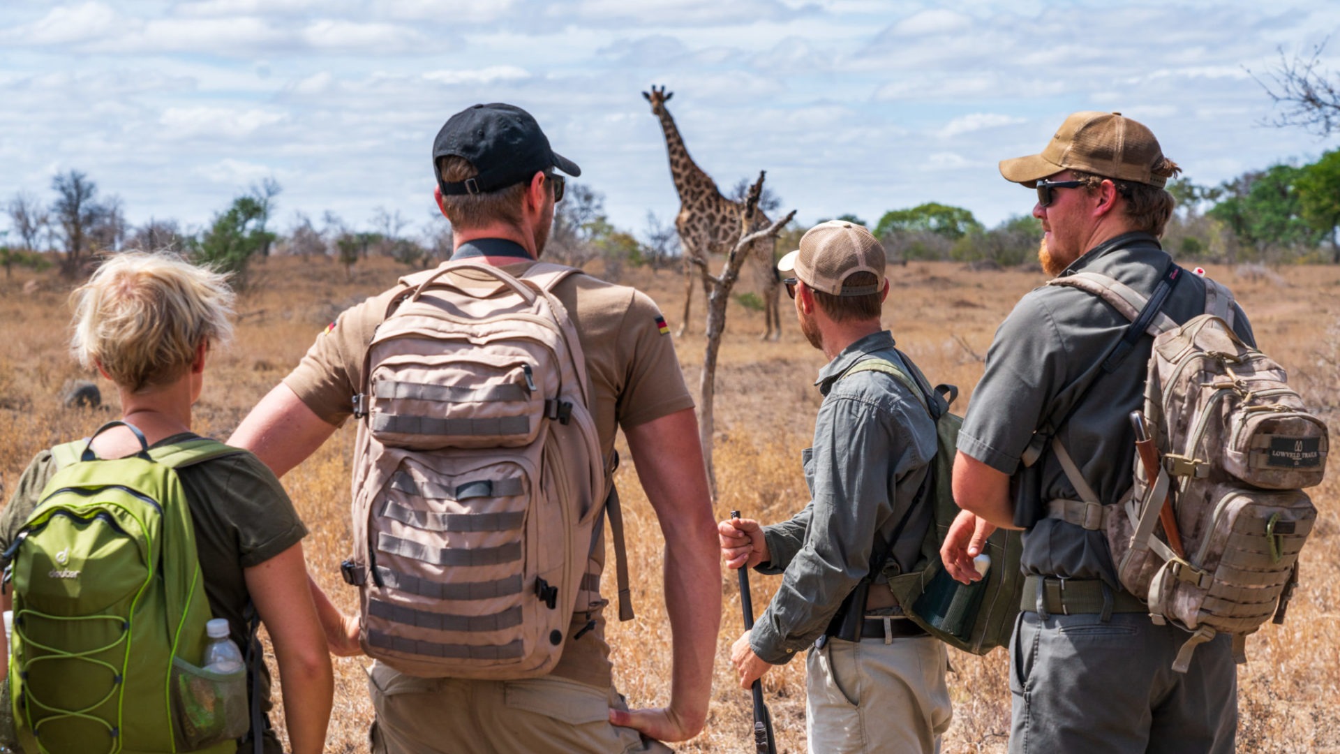 lowveld trails timbavati giraffe guests walking