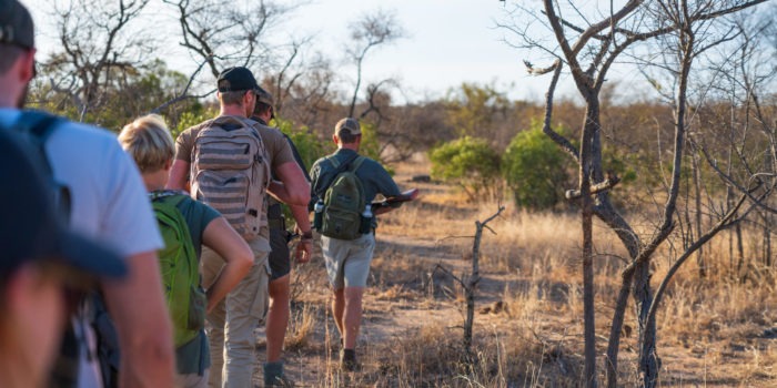 lowveld trails timbavati walking guests