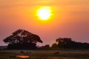 west zambia sunset