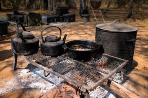 Fireplace-Blog Doris Fotosafari Botswana17