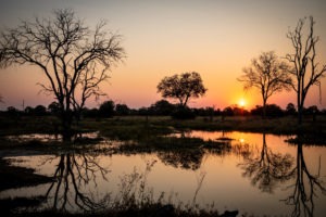 Blog Doris Fotosafari Botswana39