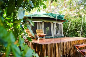 Safari Frank Manyara Green Camp Wayo Interiors17