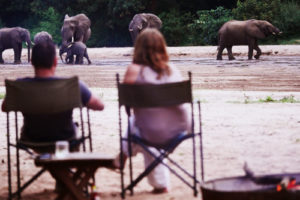 manyara green camp tanzania guests elephants
