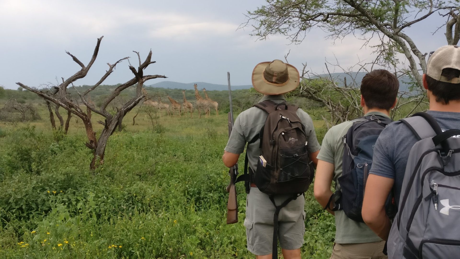 Rangerkurs Ecotraining Giraffe Jan