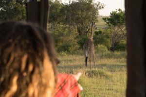 Blog Serengeti1