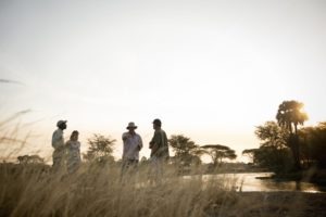 chada katavi walking safari