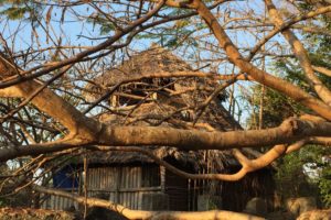 chole mjini mafia house
