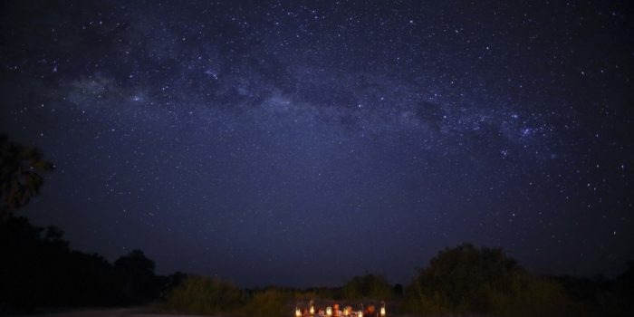 kichaka ruaha dining stars