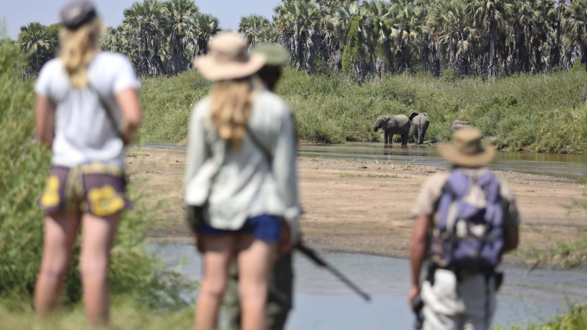 kichaka ruaha walking safaris elephants