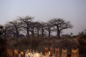 kigelia ruaha dinner under stars