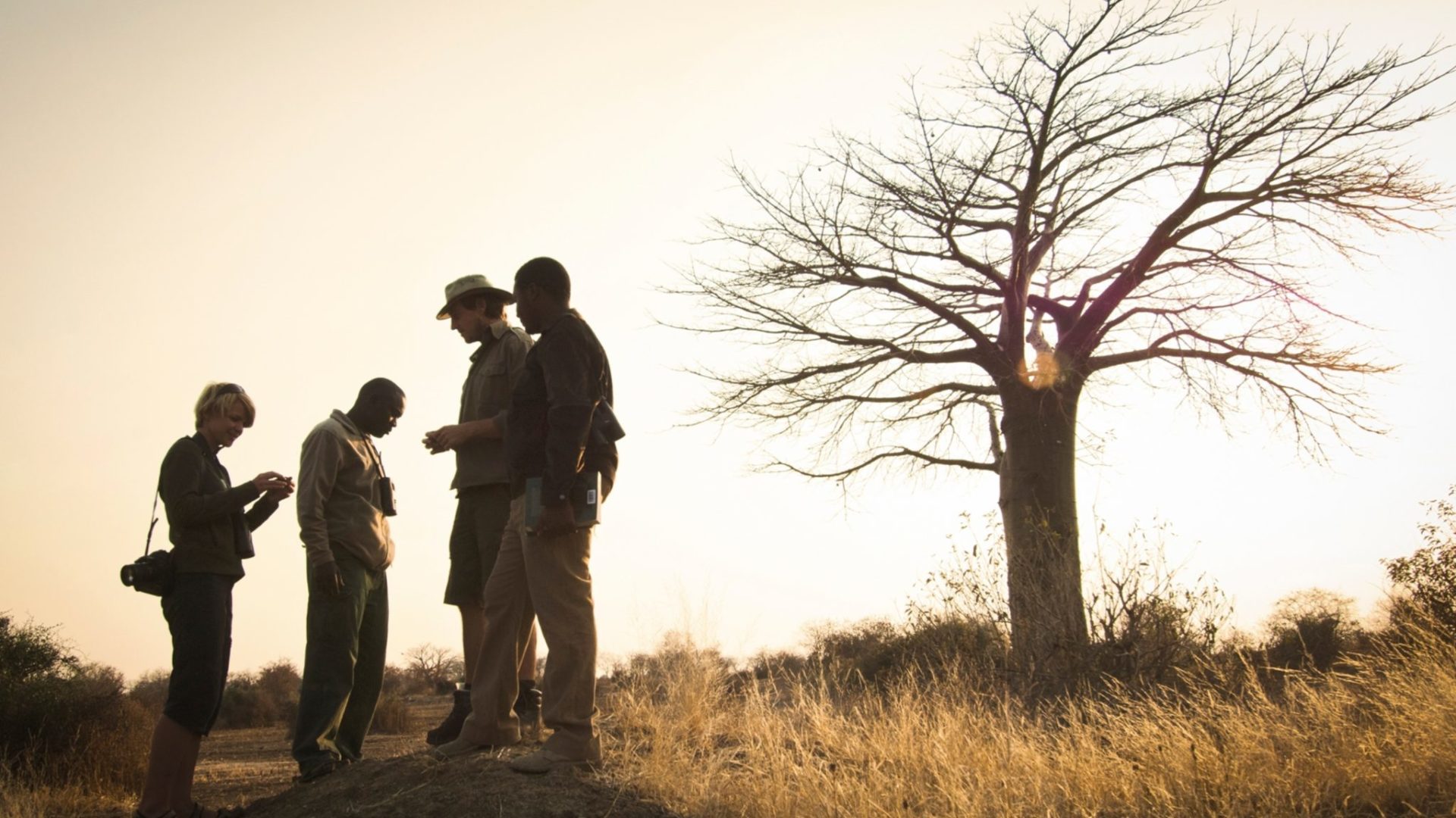 kigelia ruaha walking safari guests