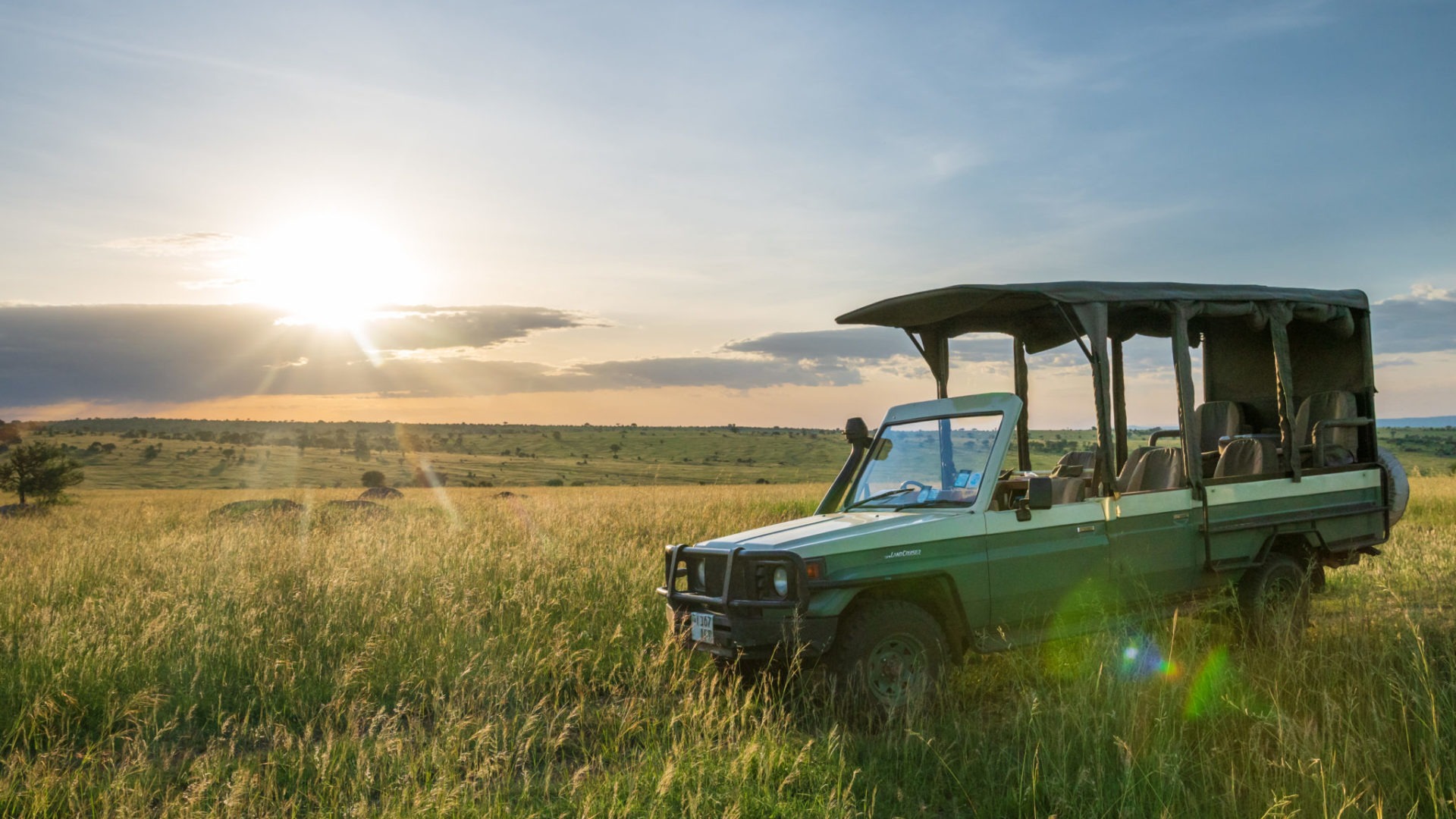lamai serengeti game viewer