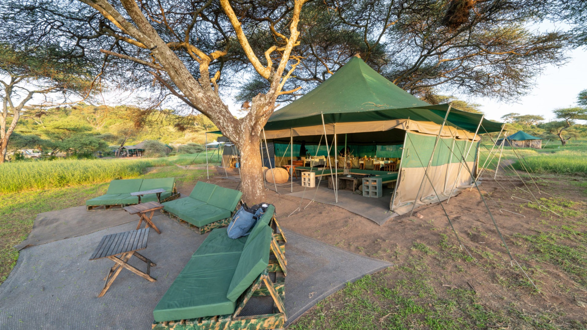 naabi green camp dining tent