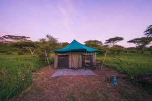 naabi green camp tent
