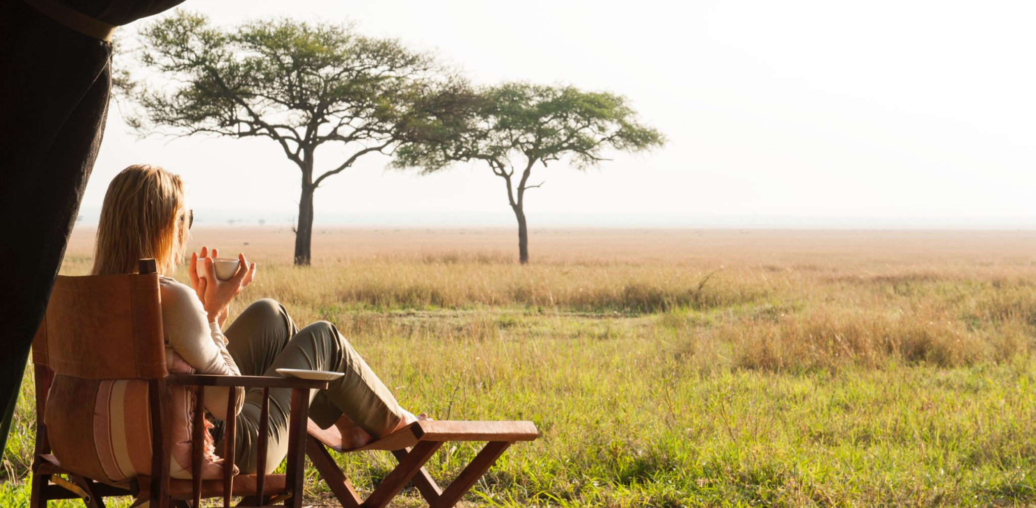 serengeti safari camp guest view