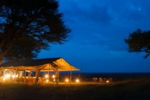 serengeti safari camp night
