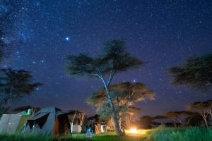wayo walking camp serengeti camp under stars