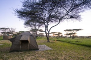 wayo walking camp serengeti tent view