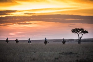 Horse Safari Riding out in the Mara