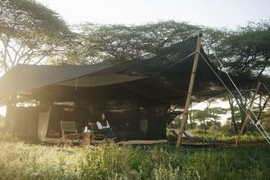Safari Frank Serengeti Green Camp Wayo Tanzania55
