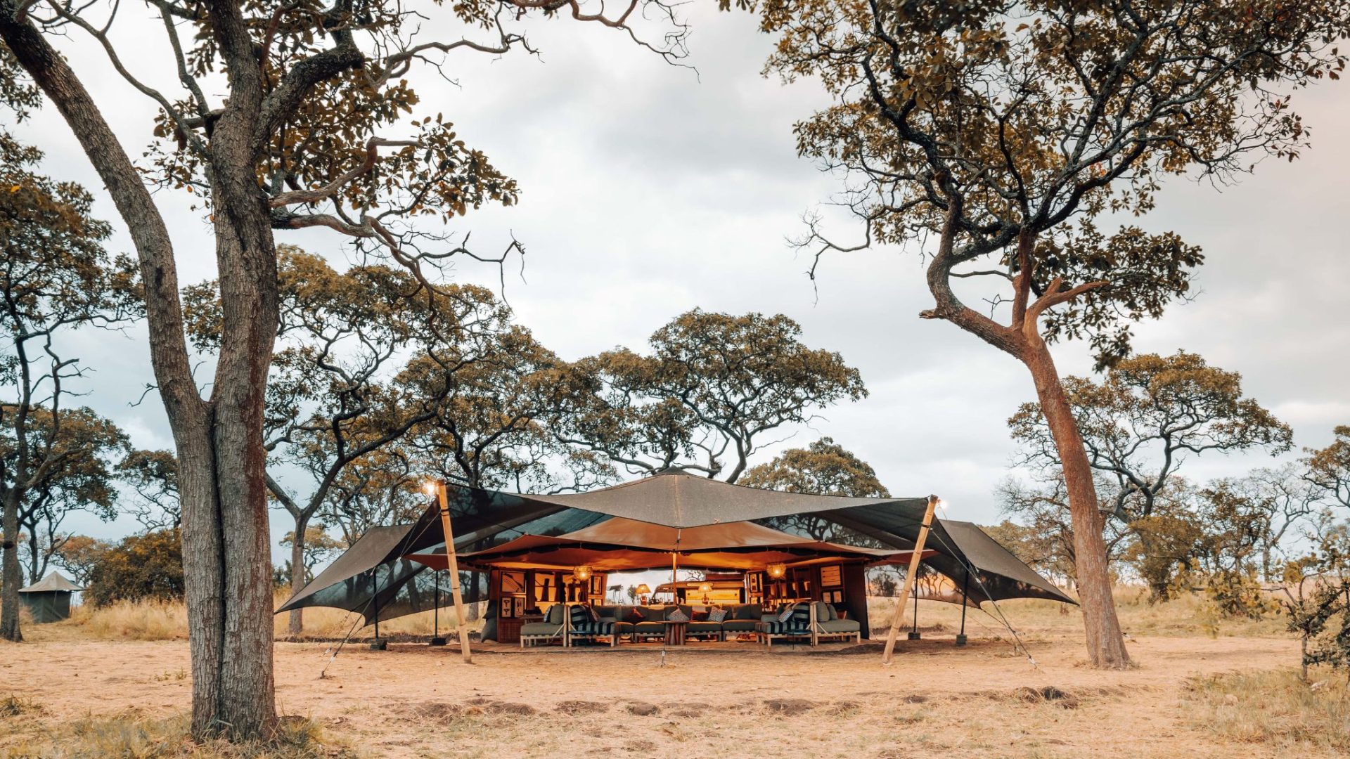 Safari Frank Serengeti Green Camp Wayo Tanzania66