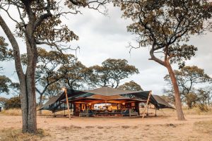 Safari Frank Serengeti Green Camp Wayo Tanzania66