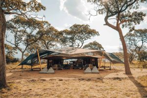 Safari Frank Serengeti Green Camp Wayo Tanzania79