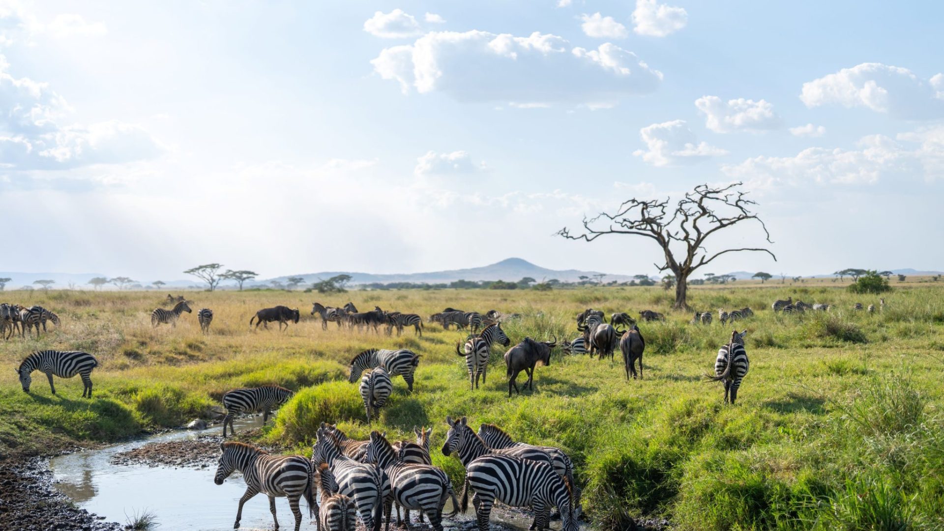 Tanzania Pembezoni Camp (12)
