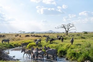Tanzania Pembezoni Camp (12)