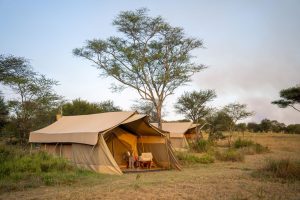 Tanzania Pembezoni Camp (15)