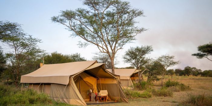 Tanzania Pembezoni Camp (15)
