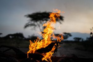 Tanzania Pembezoni Camp (18)