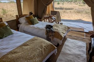 Tanzania Pembezoni Camp (2)