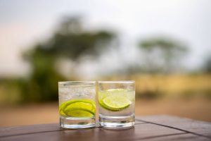 Tanzania Pembezoni Camp (25)