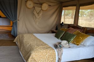 Tanzania Pembezoni Camp (5)