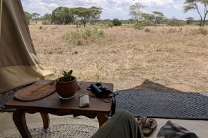 Tanzania Pembezoni Camp (6)