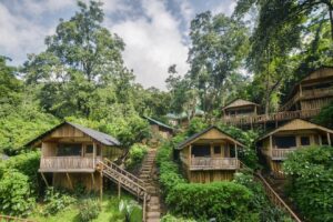 Uganda Bwindi Buhoma Lodge (7)