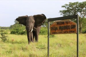 Uganda Ishasha Wilderness Camp (9)