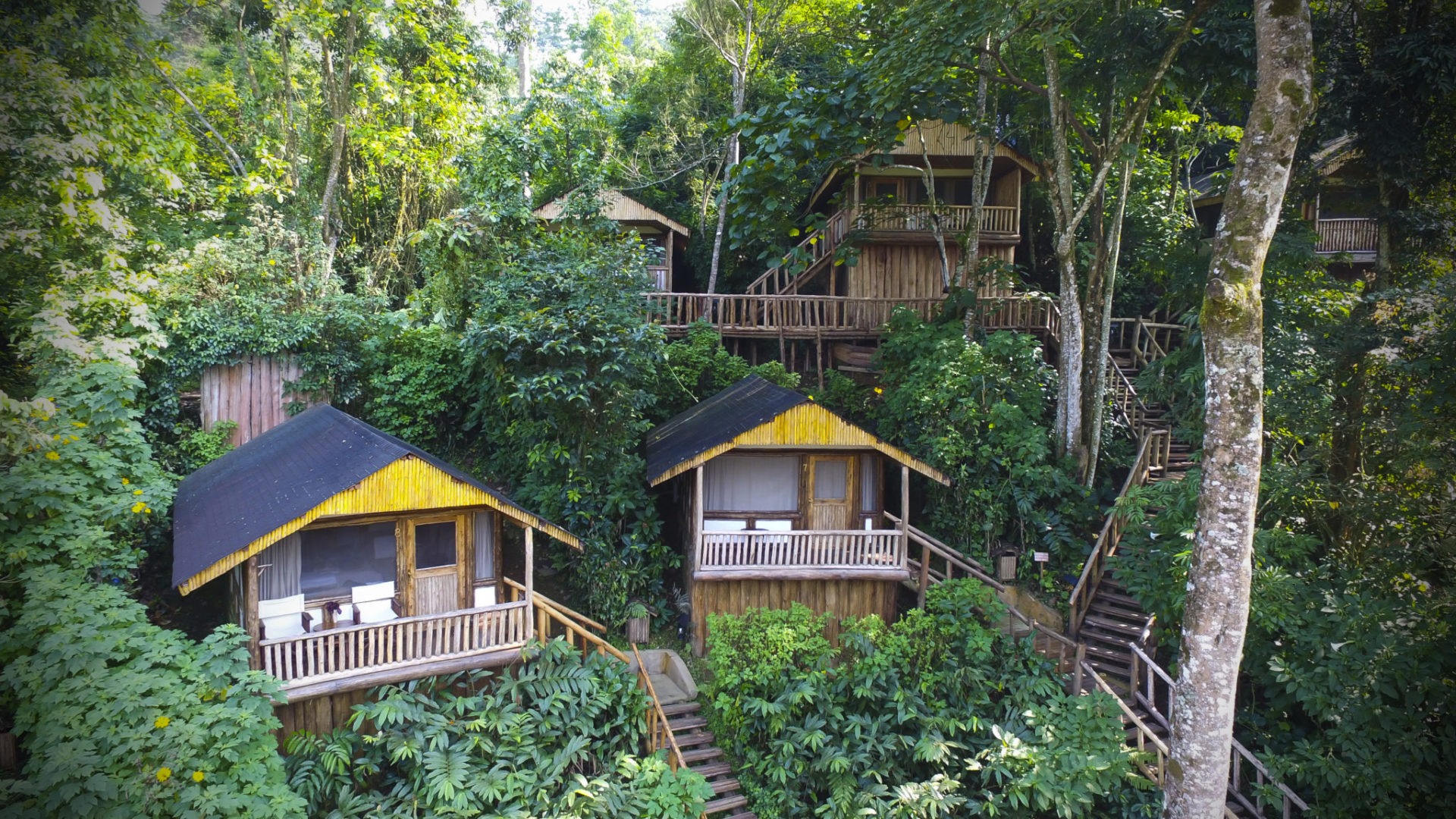 buhoma lodge uganda rooms aerial