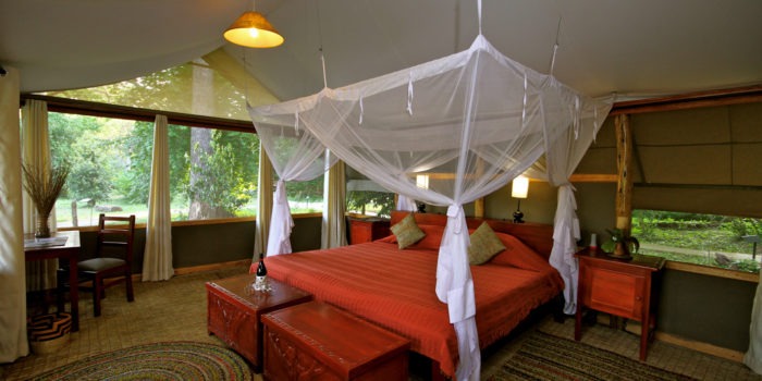 ishasha wilderness camp uganda double
