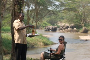 ishasha wilderness camp uganda elephants guest