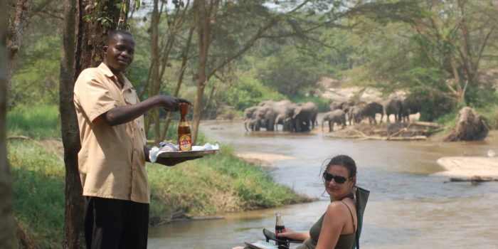 ishasha wilderness camp uganda elephants guest